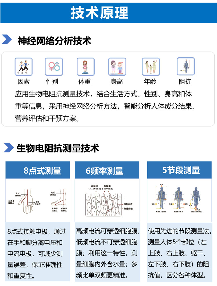 人体成分分析仪