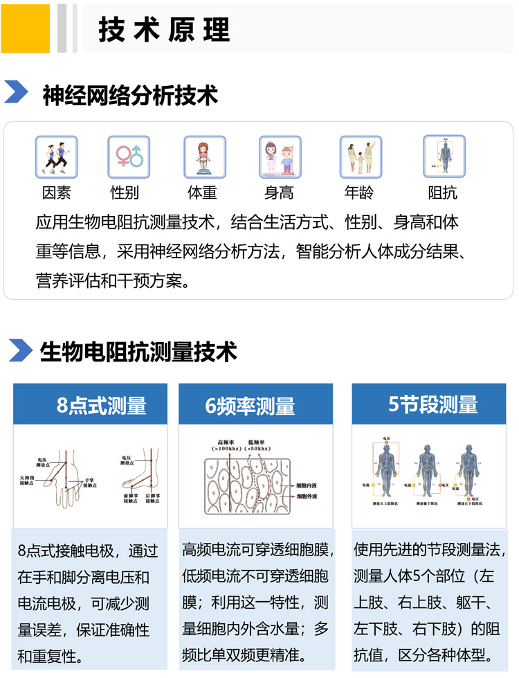 人体成分分析仪